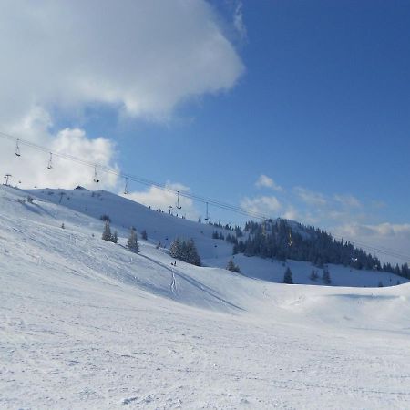 Apartament Hedonic Kopaonik Zewnętrze zdjęcie